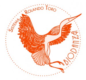 Biodanza Logo 300x279